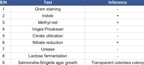 shigella biochemical test|biochemical tests are used to determine.